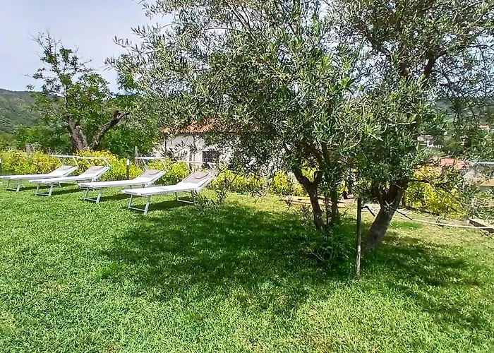 Viridis Santa Maria di Castellabate